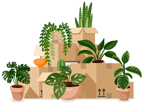how to move Plants