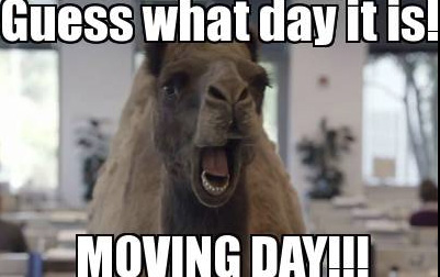 Guess what day it is moving day