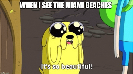 When I see the miami beaches meme