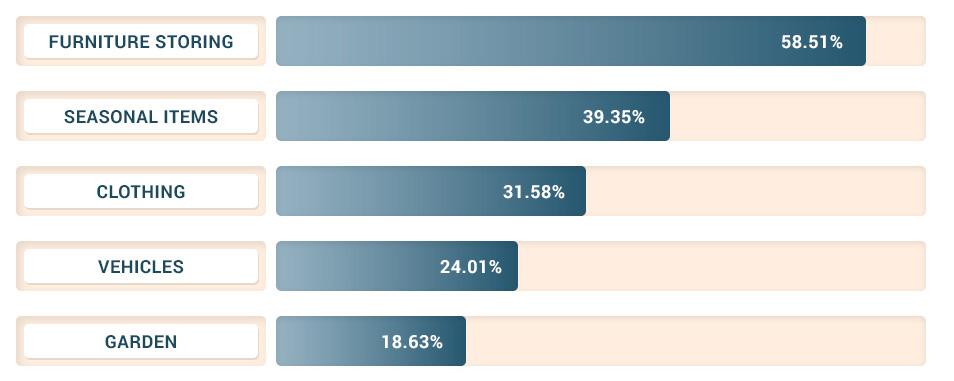 What do people store in self-storage? Age group 55-64.