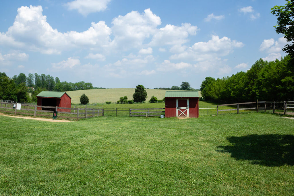 Ellicott City Clark's Farm