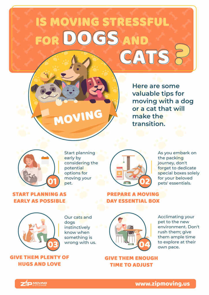 Is moving stressful for dogs and cats? Infographic.