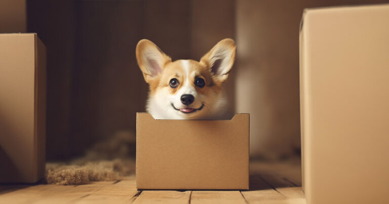 Is moving stressful for dogs and cats?