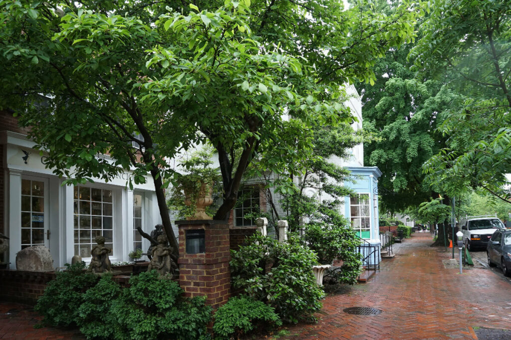 Georgetown: Historic Charm on the Potomac